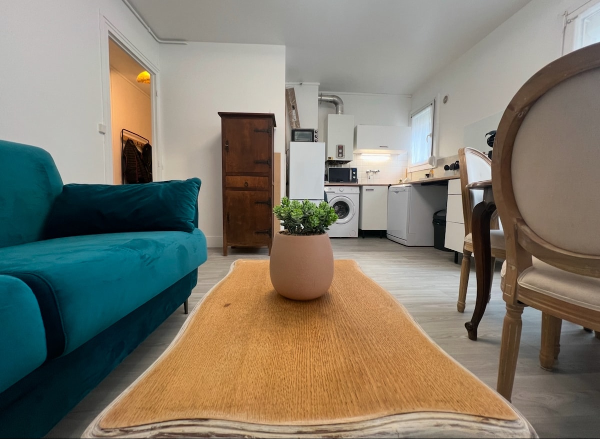 Proprietà Airbnb di successo: Reflet de Loïs T3, Downtown a Sedan