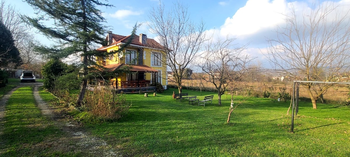 A charming two-story house is surrounded by expansive green lawn and trees. A swing set is visible in the yard, along with several benches for relaxation. The property is nestled in a serene landscape, showcasing open fields in the background under a partly cloudy sky.