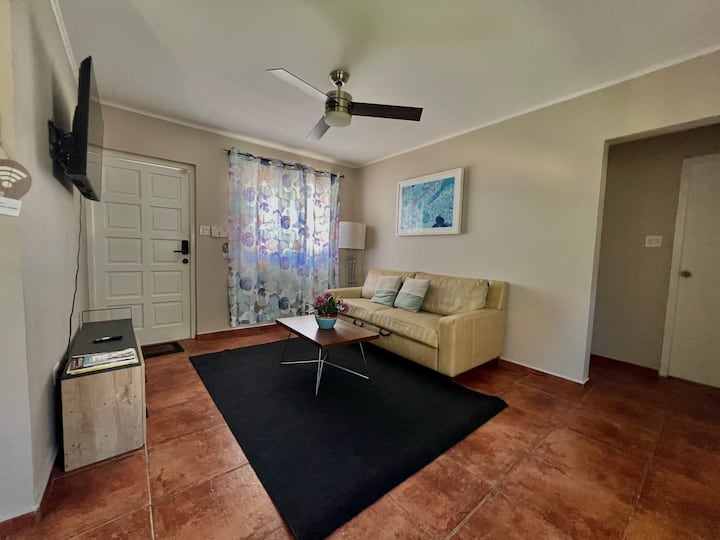 The Gold Vacation Villa - Aruba