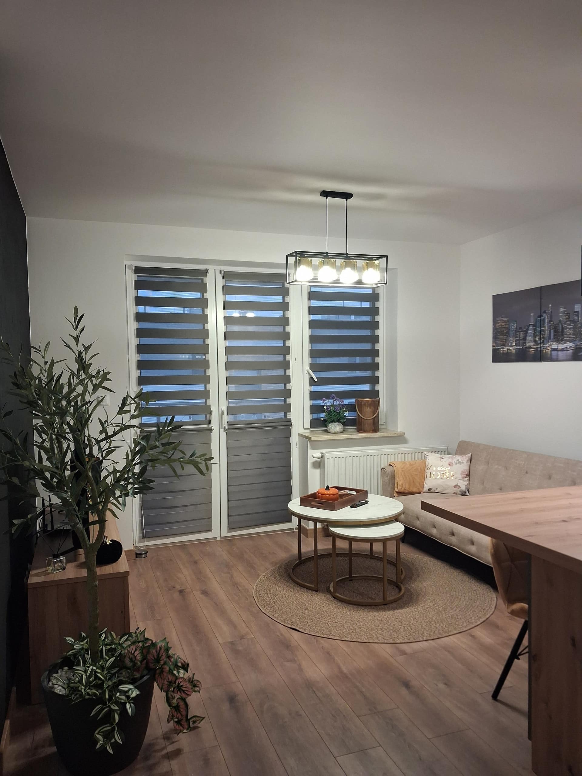 Comfort Apartment