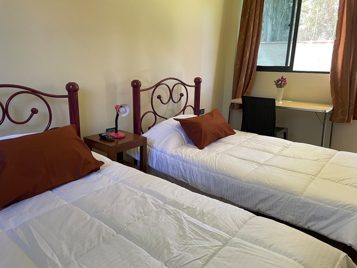 A cozy sleeping area features two spacious beds with white bedding and chocolate brown cushions. A small bedside table with a lamp sits between the beds. A writing desk with a chair and a vase of flowers is placed against the wall, illuminated by natural light from a nearby window.