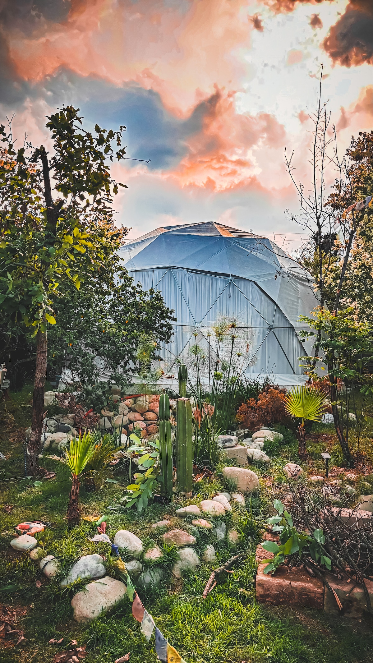 A geodesic dome structure is situated among lush greenery and diverse plants, surrounded by decorative stones. The scene is illuminated by a vibrant sky at dusk, with hints of orange and pink hues providing a serene backdrop to the natural landscape.