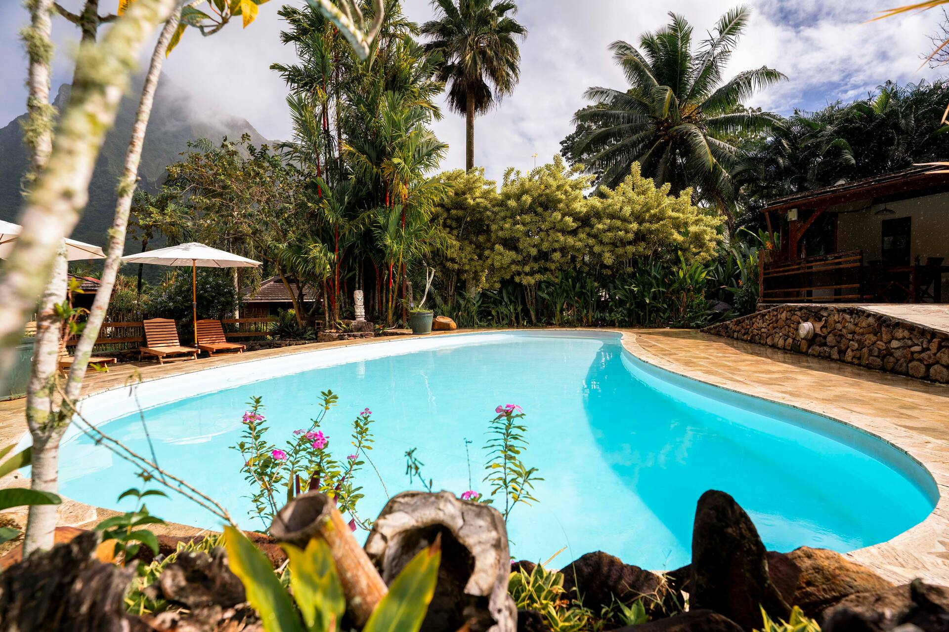 Bungalow in nature for 4 people