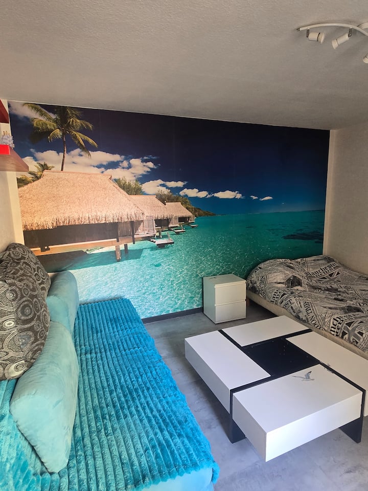 Studio Atypique Tout Juste Renové - Belfort
