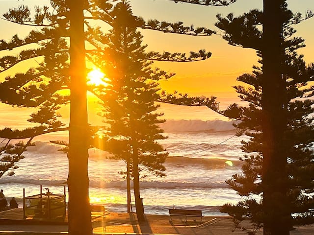 Dee Why Beachfront Bliss!