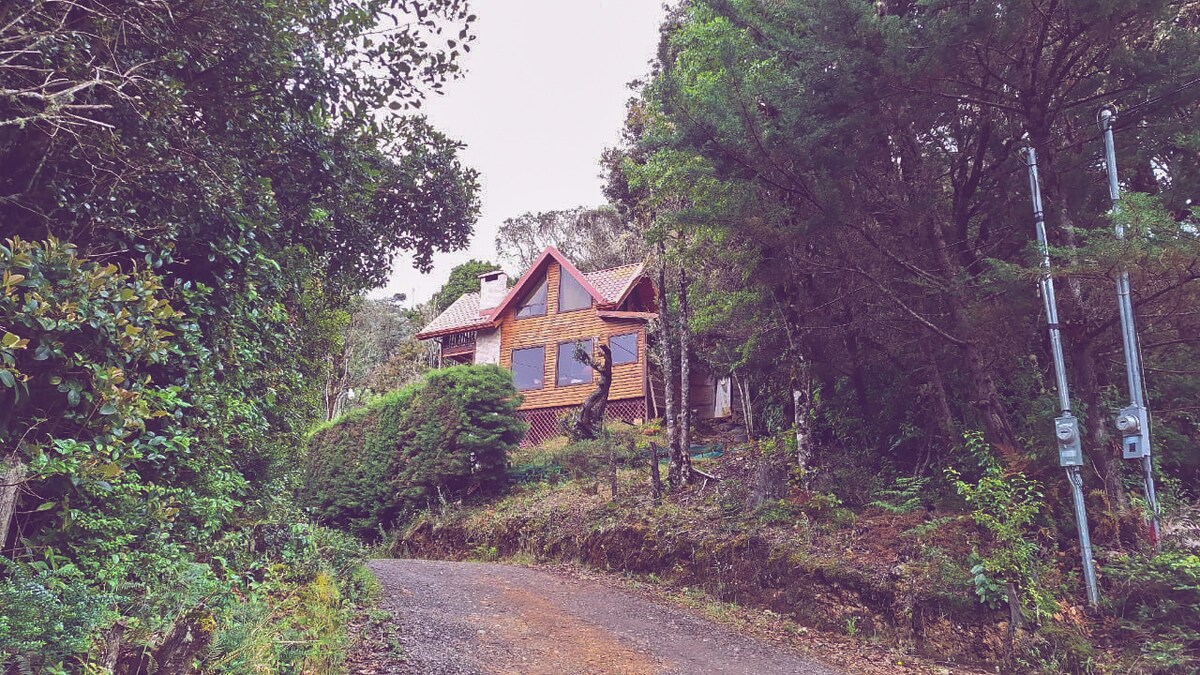 A charming cabin is nestled among lush trees, with its wooden exterior and sloped red roof partially visible. The pathway leads through vibrant greenery, creating a sense of seclusion. Large windows offer glimpses of the inviting interior, framed by natural surroundings.