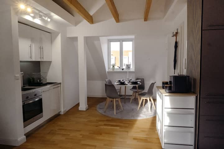 Bella-business&family-100m Castle-parking - Ludwigsburg