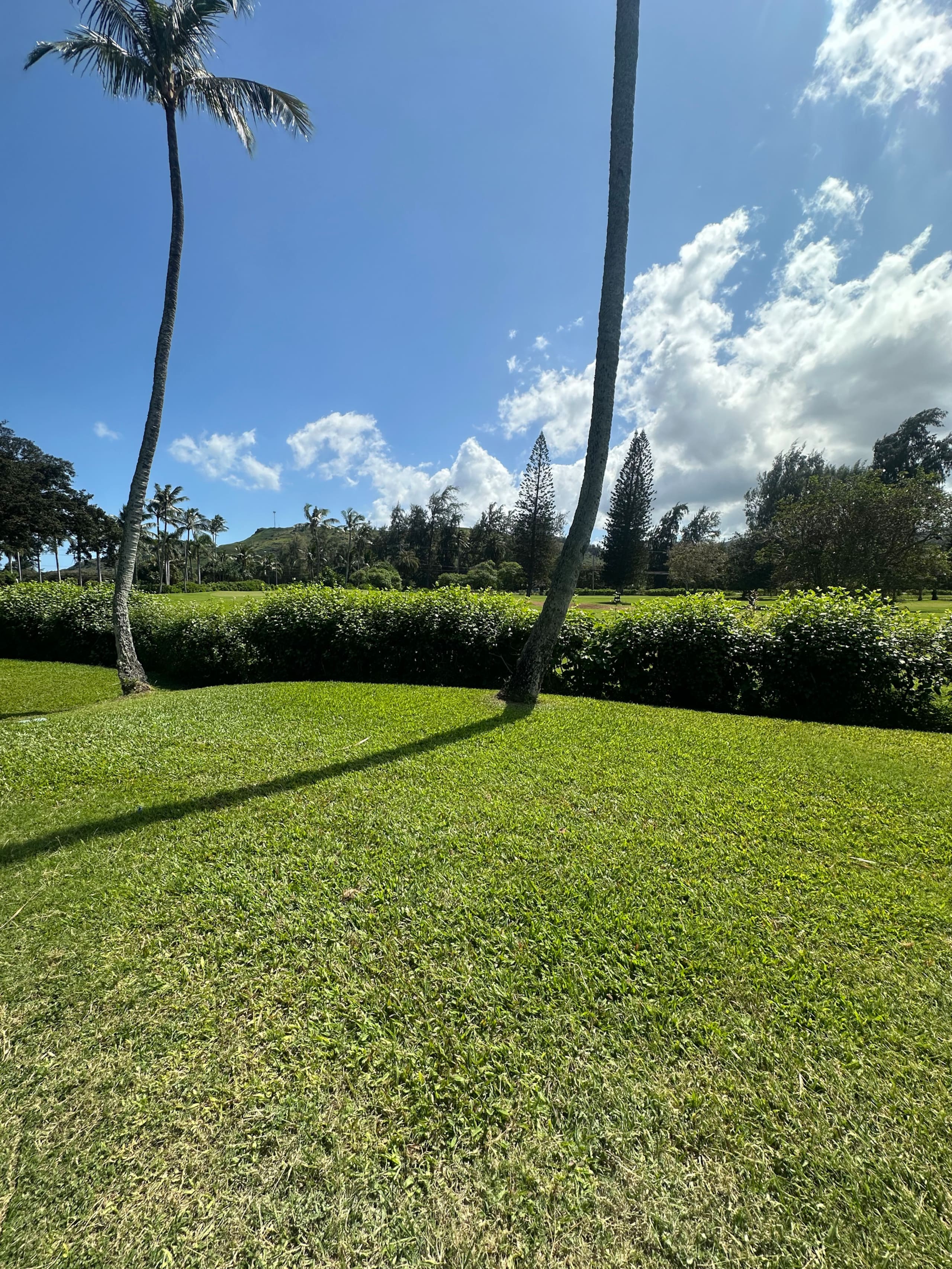 Condo in Kahuku · ★5.0 · 3 bedrooms · 4 beds · 2 baths - Image 56