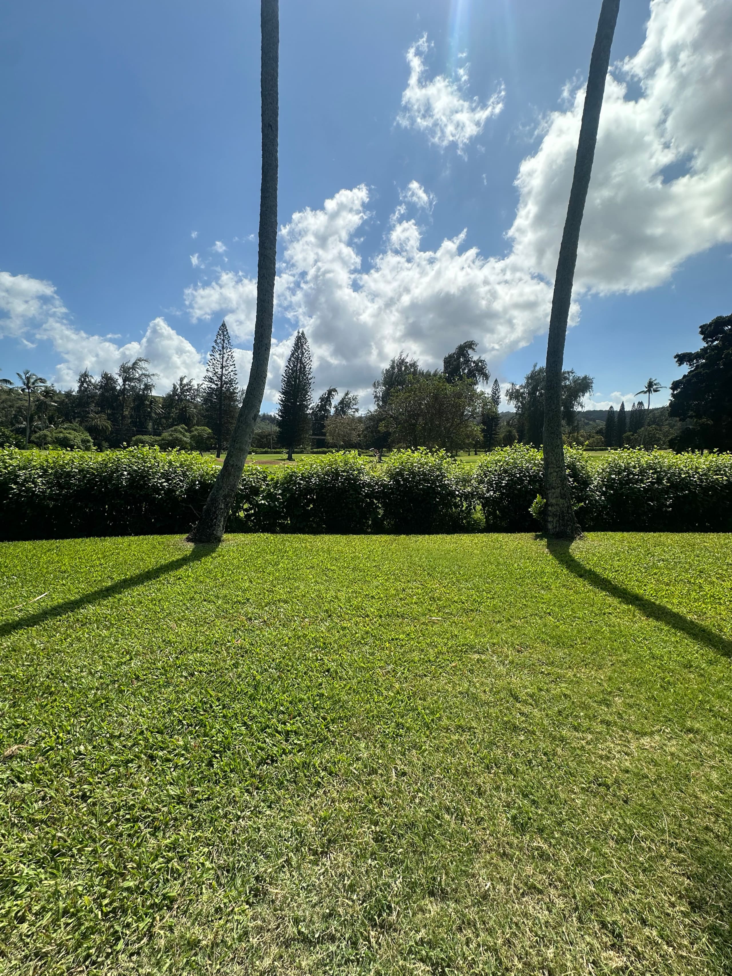 Condo in Kahuku · ★5.0 · 3 bedrooms · 4 beds · 2 baths - Image 57