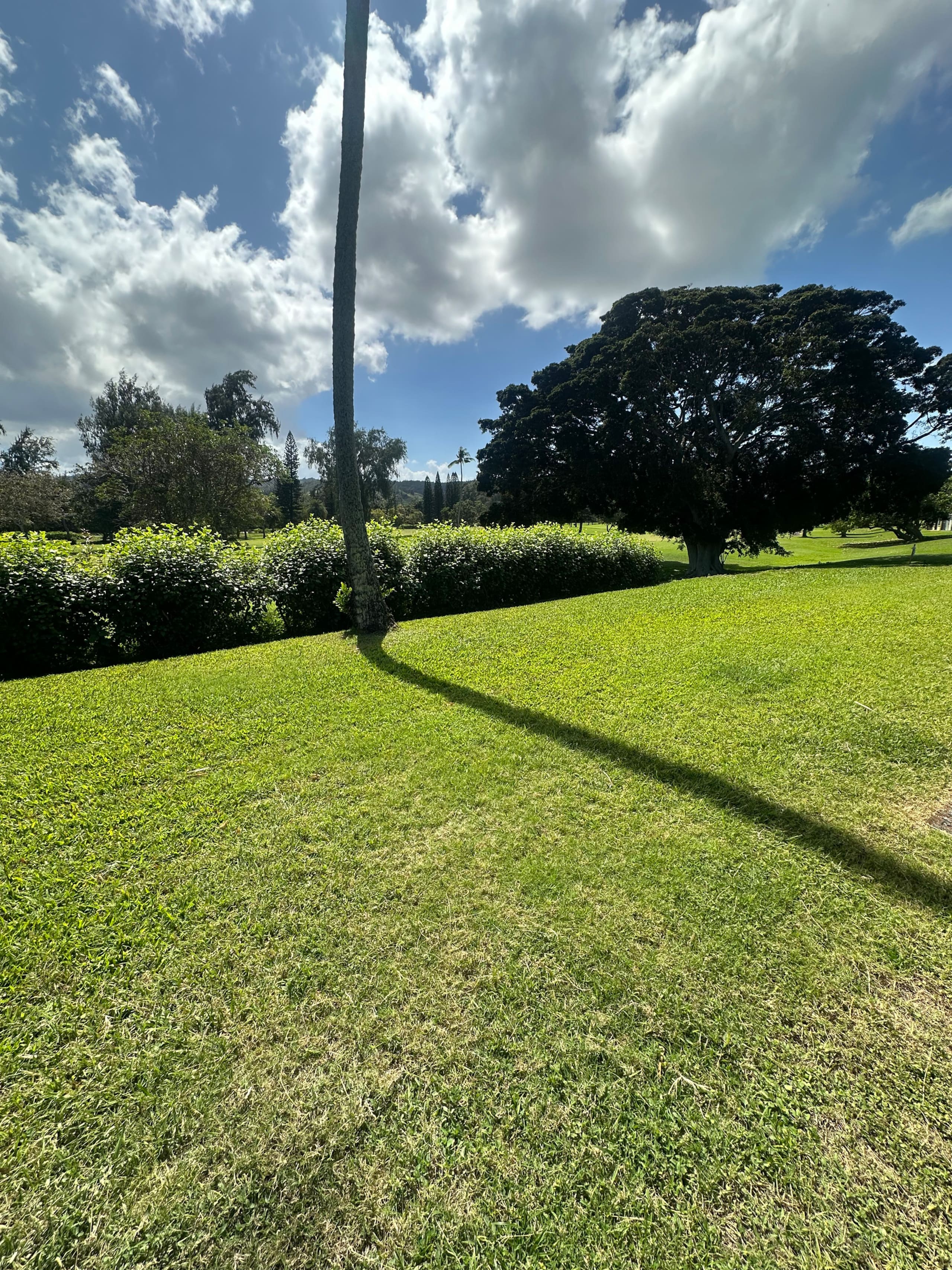 Condo in Kahuku · ★5.0 · 3 bedrooms · 4 beds · 2 baths - Image 58