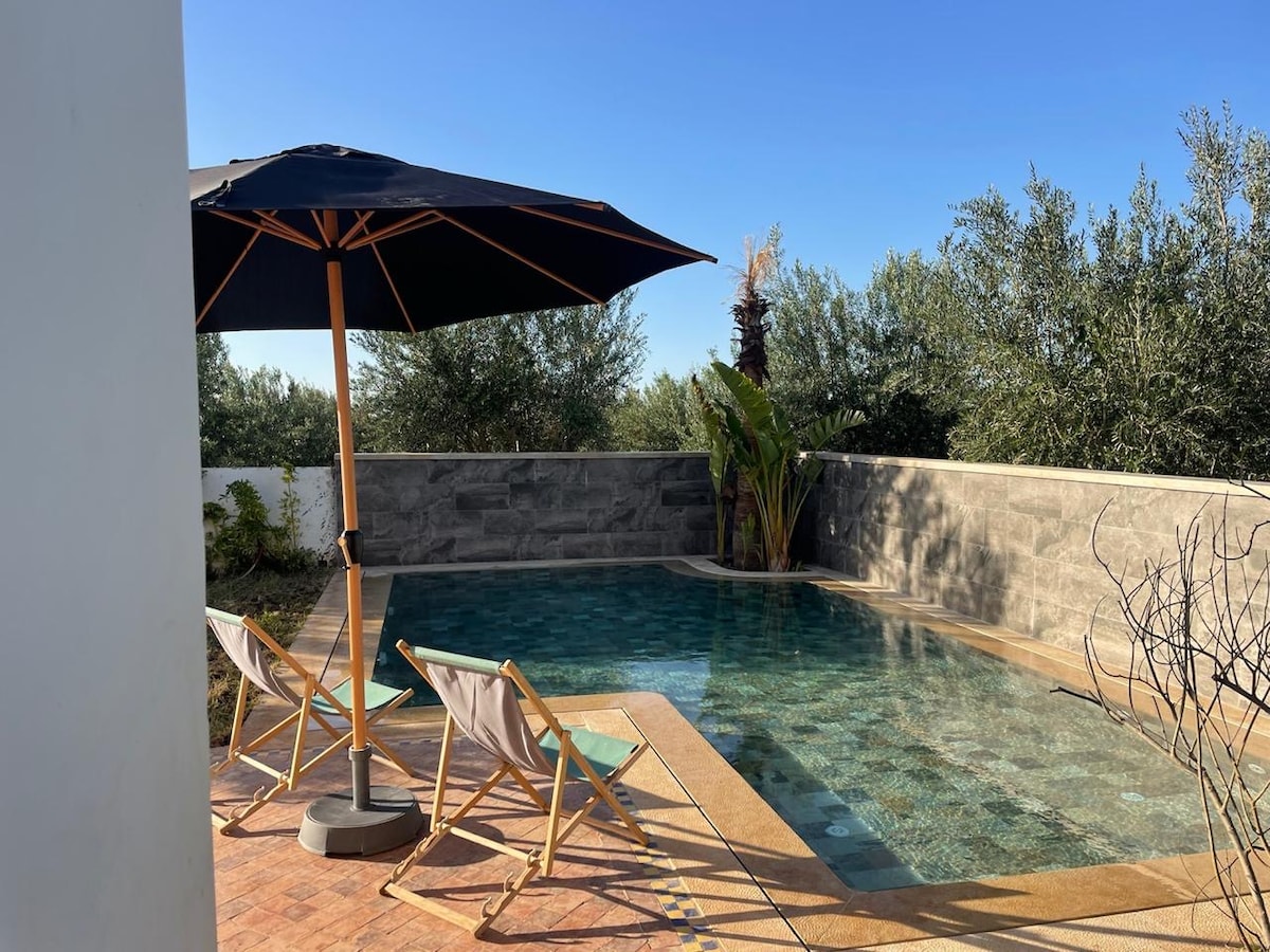 A tranquil pool area is surrounded by greenery, featuring a clear blue pool and two light wooden lounge chairs. A large umbrella provides shade, enhancing comfort for relaxation. Olive trees are positioned in the background, contributing to the serene ambiance.