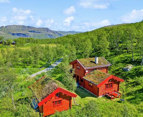 Beautiful Cabin on Filefjell.