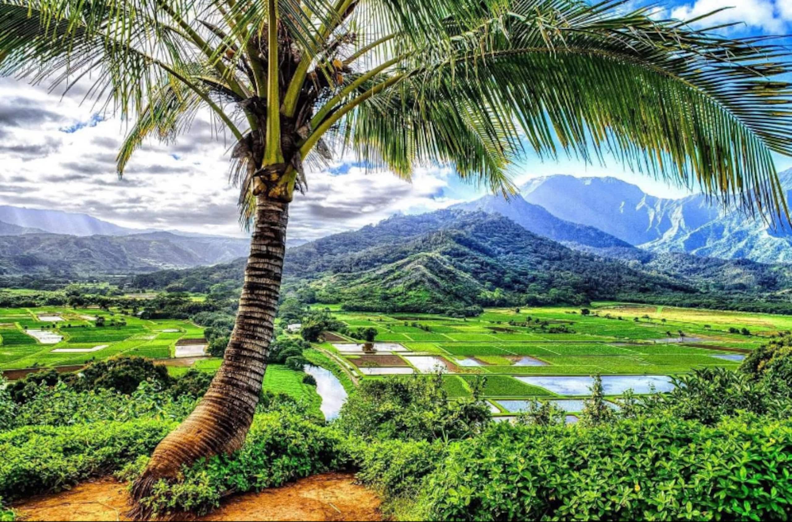Jewel of the Pacific. Oceanfront Condo at Sealodge - Image 24