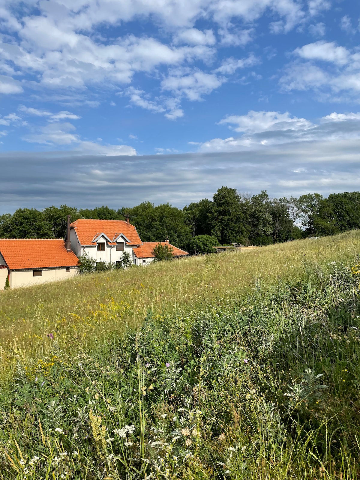 A charming house with a terracotta roof is nestled among tall grass and wildflowers. Lush greenery surrounds the property under a partly cloudy sky, conveying a peaceful countryside setting.