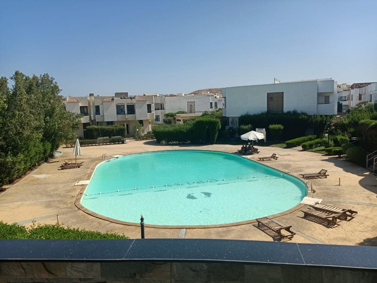 A large swimming pool is framed by manicured landscaping, featuring sun loungers arranged around its perimeter. The pool's water reflects a clear blue sky, with a shaded area provided by an umbrella in the background. Nearby, residential buildings can be seen, adding to the serene ambiance.