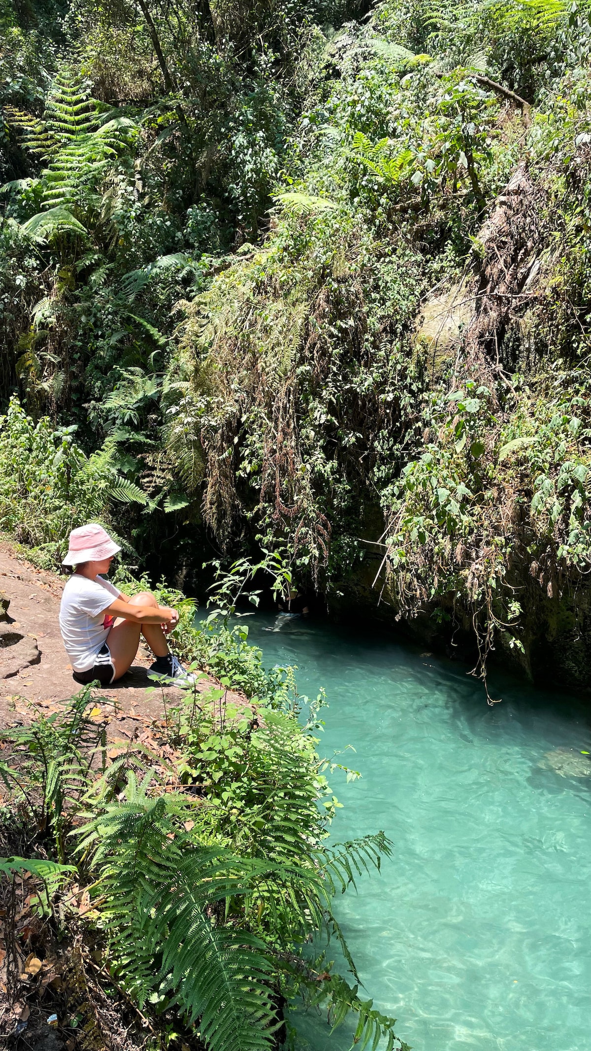 A person is seated beside a clear turquoise river, surrounded by lush greenery and ferns. The dense vegetation frames the water, enhancing the tranquil natural setting. Sunlight filters through the foliage, creating a serene atmosphere along the riverbank.