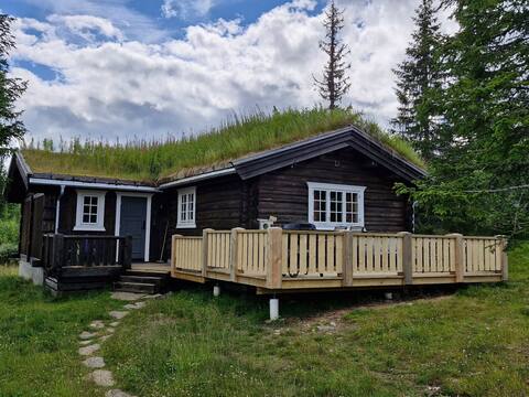 Cozy family cabin at Skeikampen