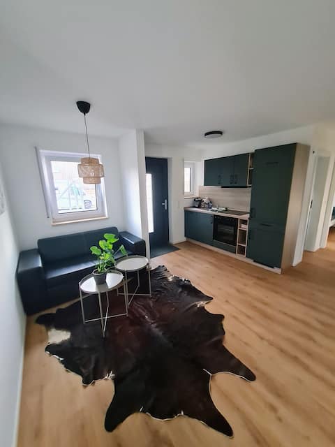 Leistungsstarkes Airbnb: Apartment in Friedenweiler in Breisgau Hochschwarzwald