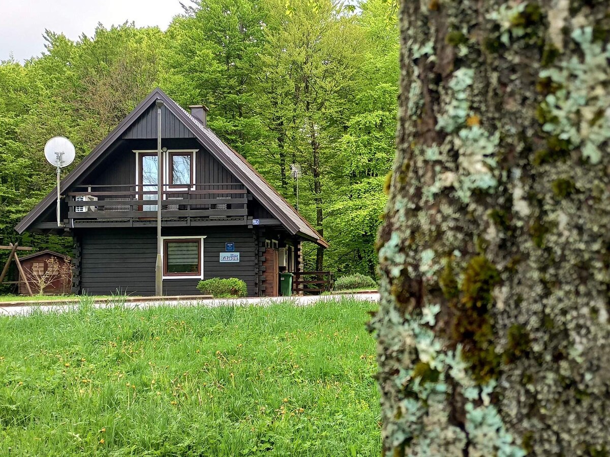The two-story house, constructed with a dark wood exterior, is framed by lush green trees. A small balcony extends from the upper floor, while a sign indicates the entrance. An outdoor area with grassy terrain is visible in the foreground.