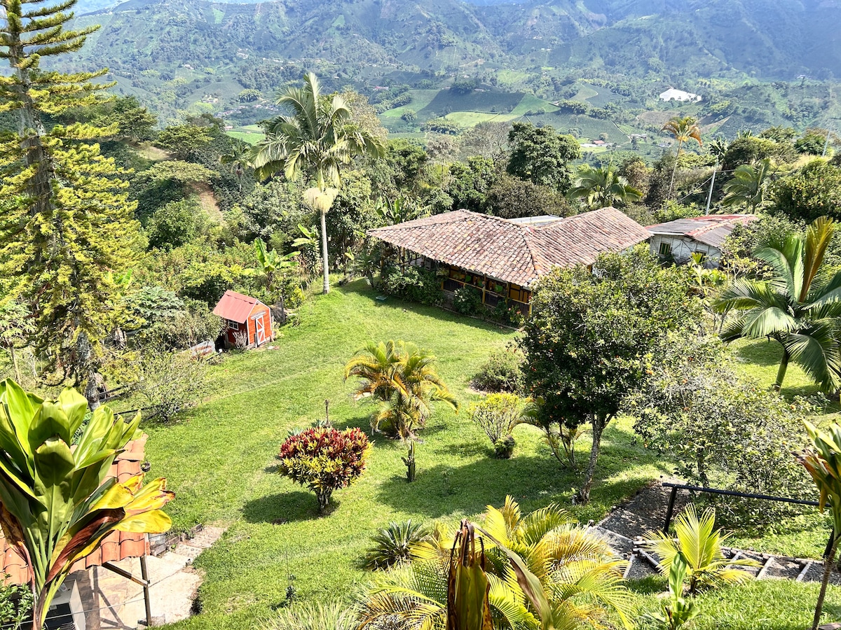 A scenic view of a lush green landscape, featuring a charming house with a tiled roof amid various tropical plants and trees. The rolling hills in the background enhance the natural beauty of the area, inviting connection with nature.