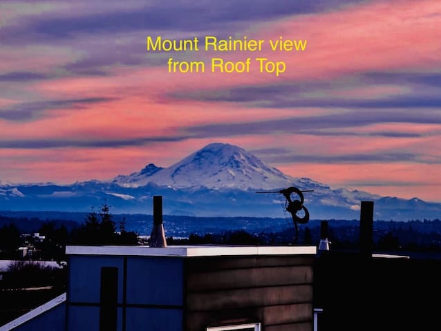 Walk to CapHill 4B2.5B Sleeps 12 w/Rooftop deck