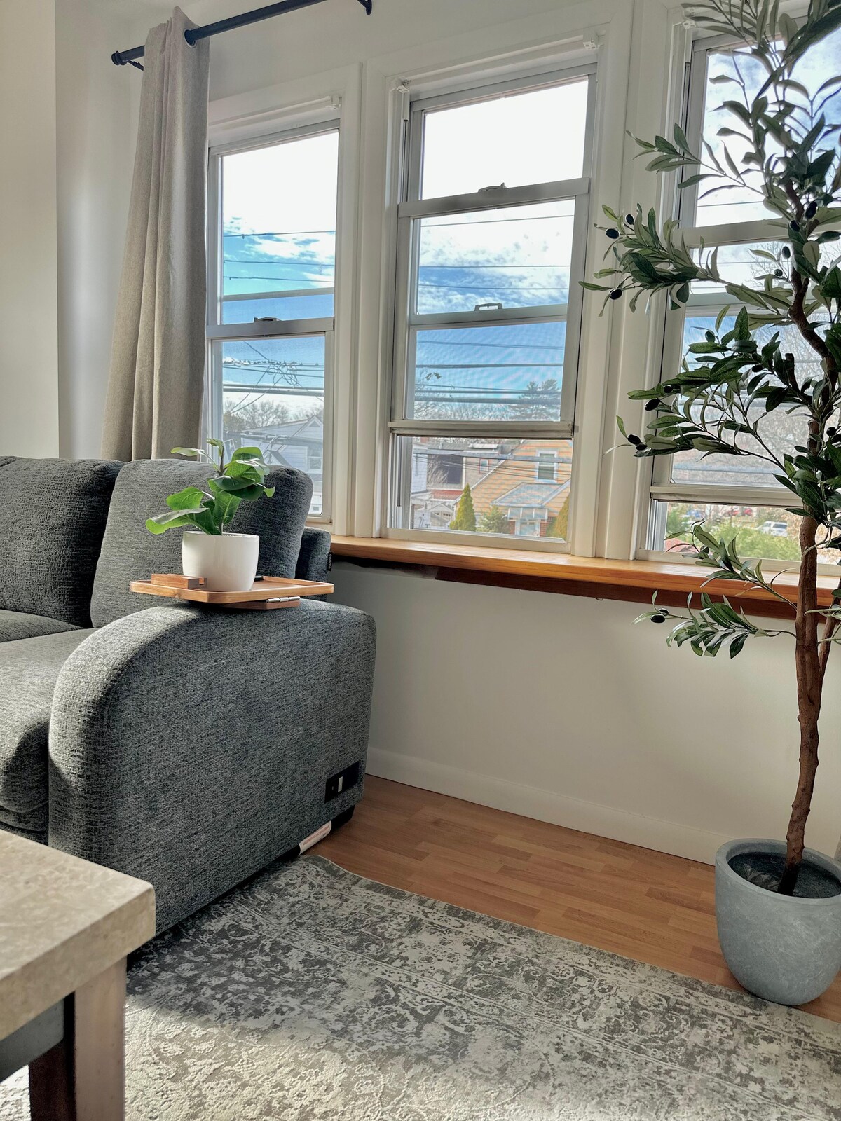 A cozy living area features a grey sofa positioned near large windows, allowing natural light to brighten the space. A small table holds a potted plant beside the sofa, enhancing the room's tranquility. A decorative tree is placed in a pot on the floor.