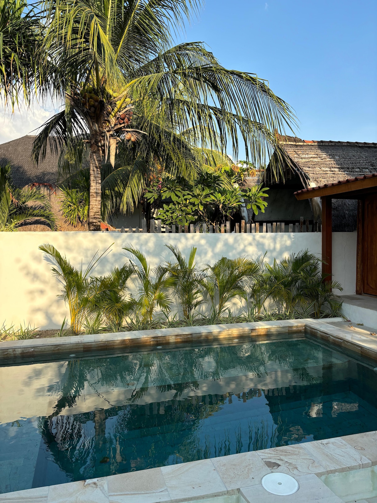 A private pool is surrounded by lush greenery and palm trees, creating a serene atmosphere. The clear water reflects the sunlight and nearby foliage, while a wall provides privacy. Outdoor seating is available in the adjacent area, enhancing the tranquil setting.