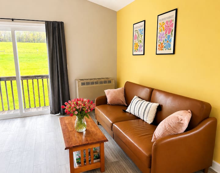 Charming Home Near Skaneateles - Finger Lakes, NY
