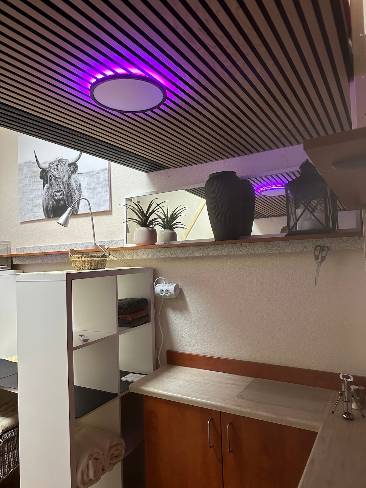 The small room features a wooden ceiling with purple lighting. A decorative wall art of a cow is displayed above a shelf holding potted plants and lanterns. Nearby, a countertop is visible along with storage solutions, providing essential space for staying organized.