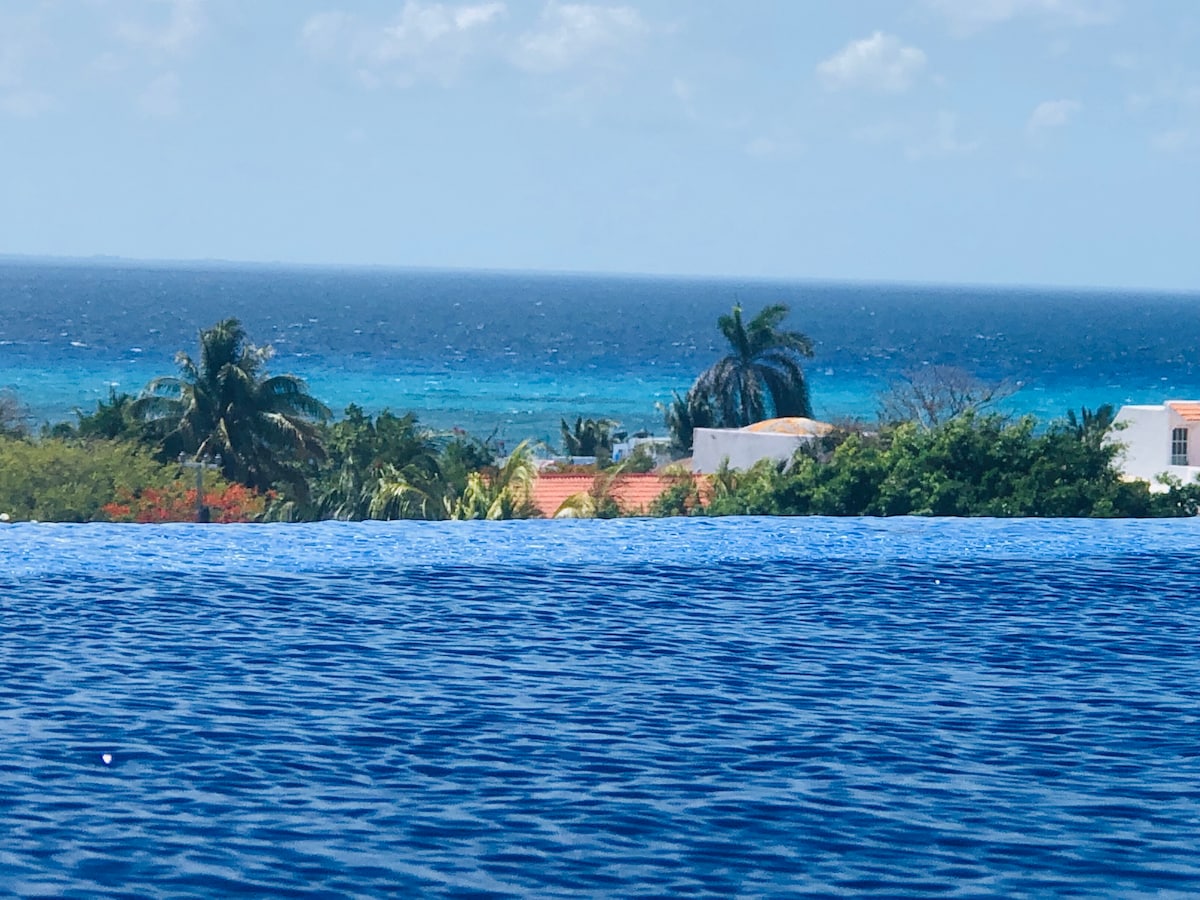 An expansive view of the Atlantic Ocean is seen above the infinity edge of a private swimming pool. Lush green palm trees and colorful rooftops are visible in the foreground, contrasting with the deep blue water and bright sky.