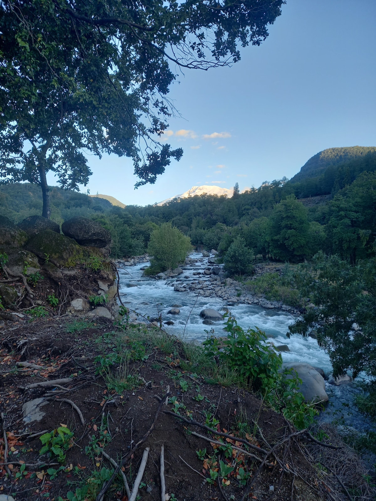 A tranquil river flows gently through a forested landscape, surrounded by tall trees and rocky terrain. Mountains rise in the background under a clear blue sky, creating a serene atmosphere that invites relaxation and connection with nature.