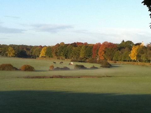 Spacious house with beautiful views. Pool, tennis.