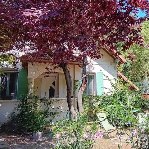 House with garden