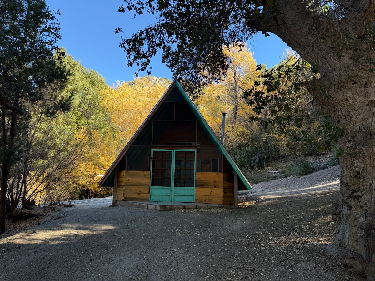 A charming alpine-style cabin is nestled among vibrant autumn foliage. The exterior features a sloped roof and large glass doors, complemented by wooden walls. The surrounding area includes gravel pathways and mature trees, enhancing the tranquil and serene environment.