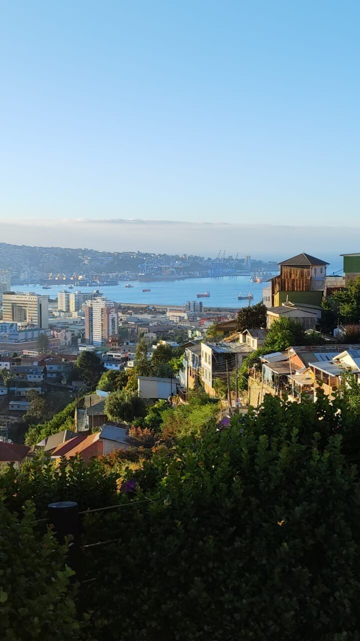 A panoramic view of the bay showcases a blend of vibrant buildings and lush greenery. The image captures distant ships on the water, and the skyline of a city can be seen across the bay under a clear blue sky.