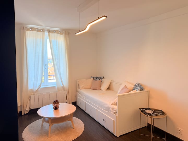 50m2 Vue Sur Le Château - Confortable - Montbéliard