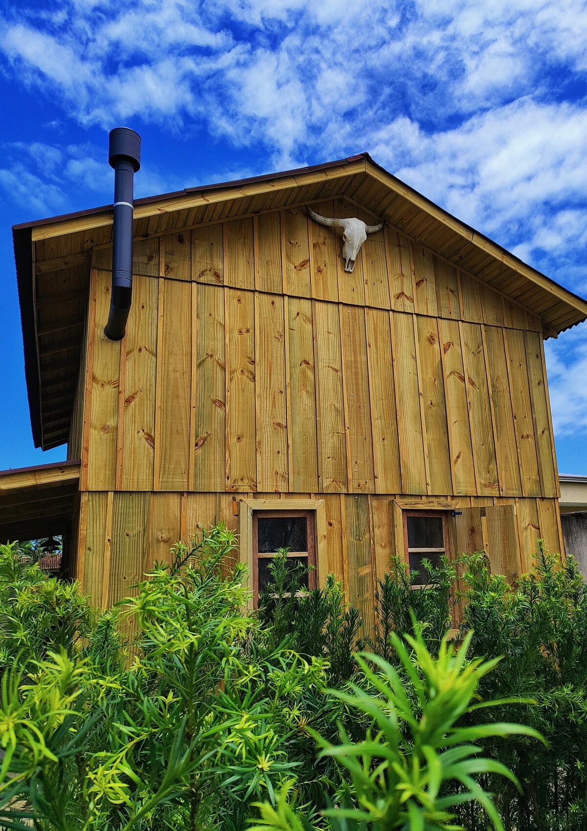 A rustic wooden cabin features a gently sloped roof and is adorned with a decorative skull above the entrance. Lush green plants surround the base of the cabin, contrasting against the warm tones of the wooden exterior and the clear blue sky above.