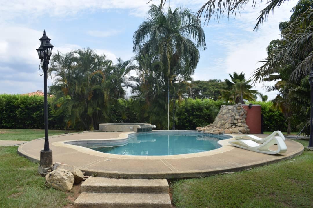 A spacious outdoor pool is surrounded by lush greenery and palm trees. A curved stone pathway leads to the pool's edge, where a sleek white lounge chair sits. The area is complemented by a nearby vintage-style lamp post, enhancing the serene setting.