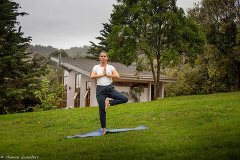 Elements Dota - Air Loft