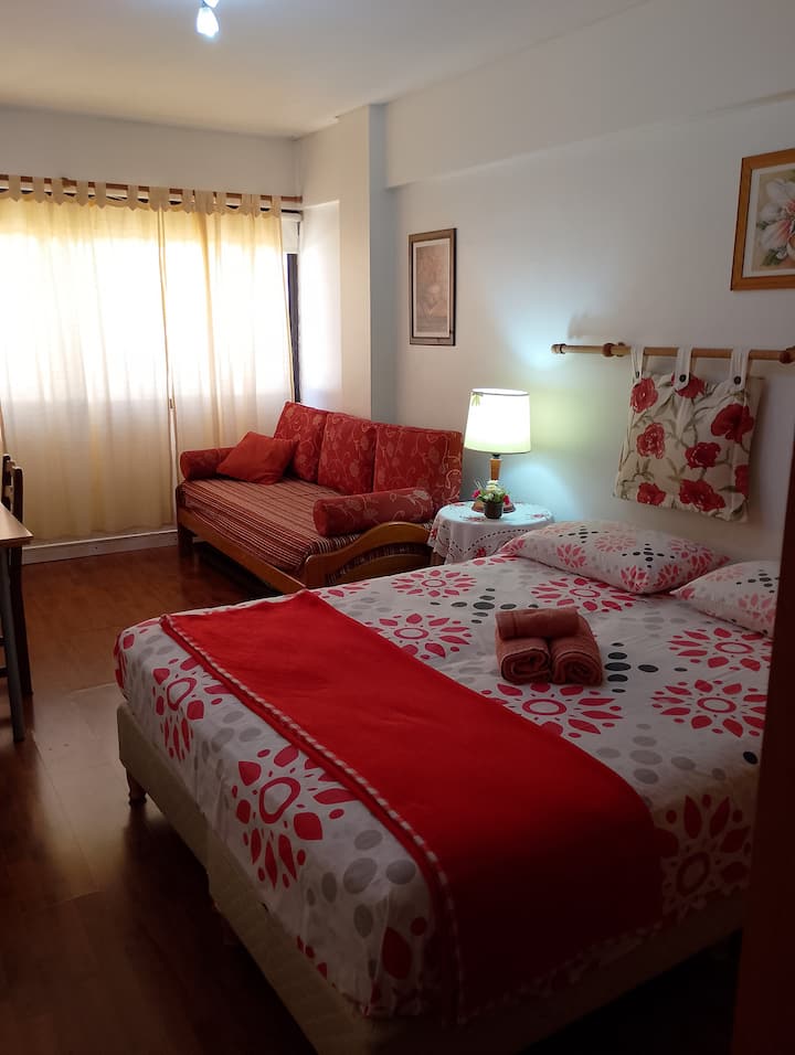 الشقة عبارة عن استوديو، وسرير الأريكة هو في الواقع سرير لشخص واحد 