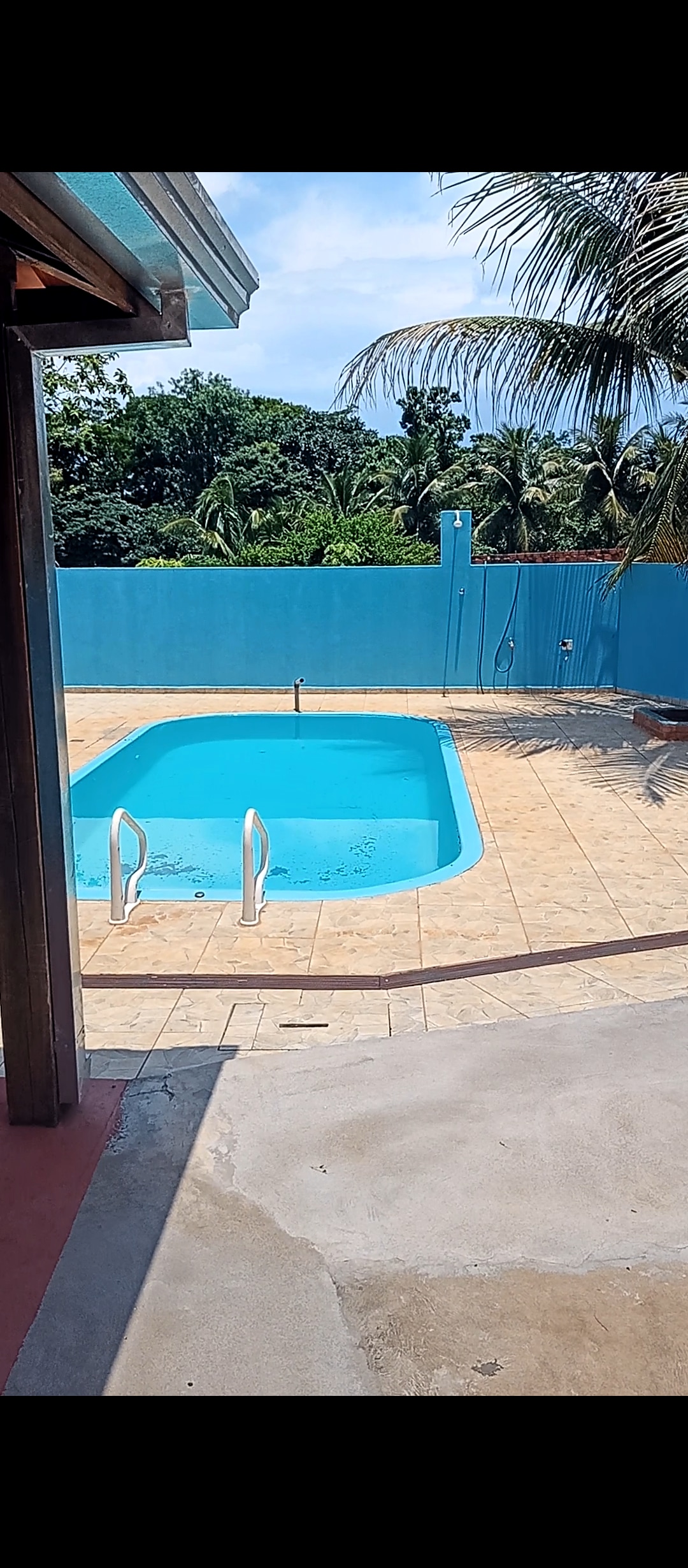 A bright outdoor pool features a tiled deck, surrounded by a clear blue wall and lush greenery. Stainless steel handrails provide access to the water, and sunlight reflects off the pool's surface, creating a serene environment for relaxation.