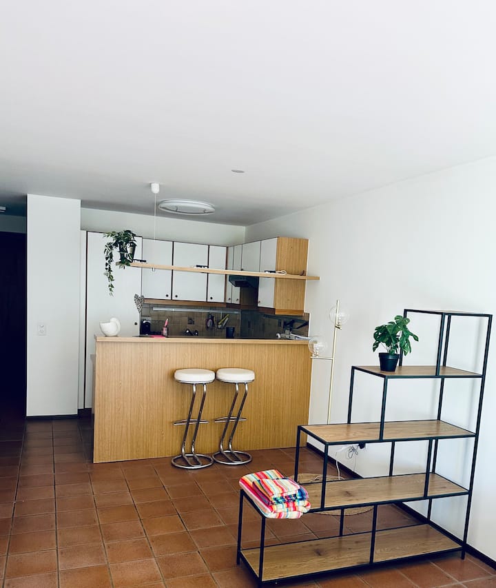 Grazioso Monolocale Con Terrazza Al Pt - Canton Ticino
