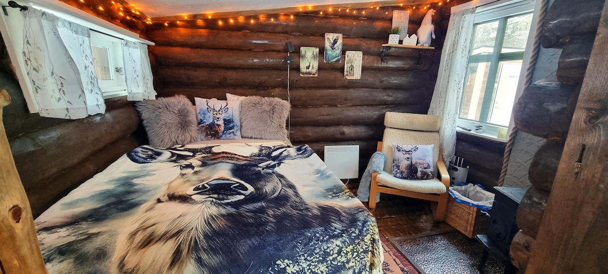 A cozy interior features a spacious bed adorned with a wildlife-themed blanket. A comfortable armchair sits nearby, complemented by decorative pillows. Natural light filters through the window, and warm string lights create an inviting atmosphere among the rustic log walls.