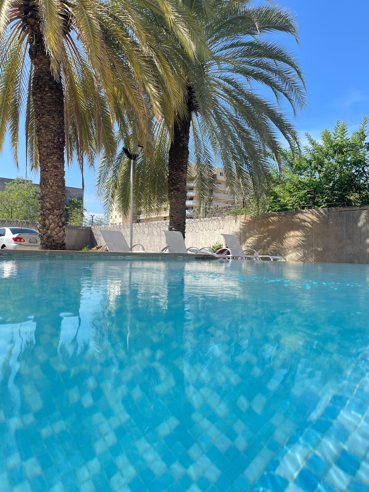 A refreshing swimming pool is framed by tall palm trees. Sun loungers are positioned beside the water, inviting relaxation. The clear turquoise water reflects sunlight, creating a serene atmosphere. Lush greenery surrounds the area, enhancing the outdoor experience.