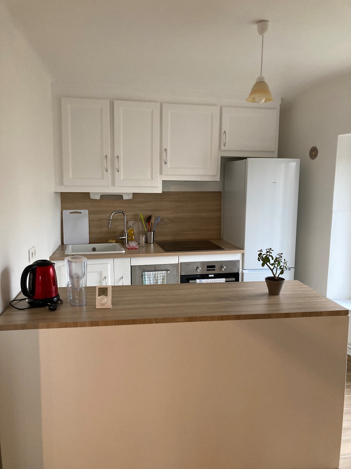 Proprietà Airbnb di successo: Spacious apartment 3 minutes from the city center a Verdun