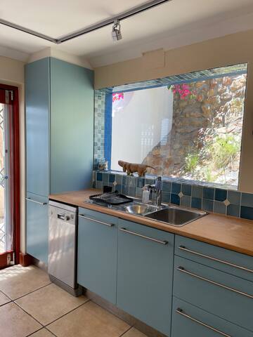 Ragamuffin Rest gallery image 5