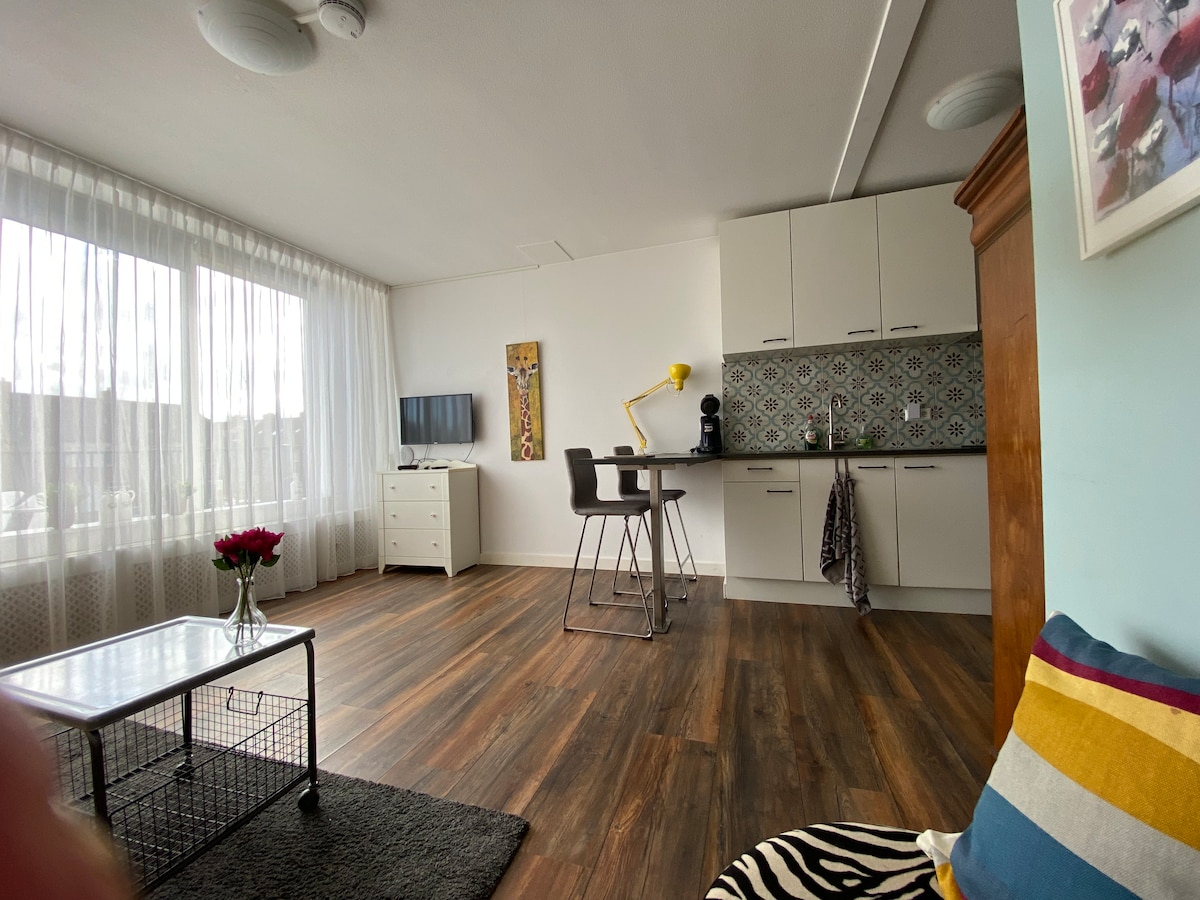 A bright living space features large windows allowing natural light to fill the area. A compact kitchen area is visible, complemented by a dining table with two chairs. A decorative rug and a glass coffee table enhance the room's comfort, and a modern television is mounted on the wall.