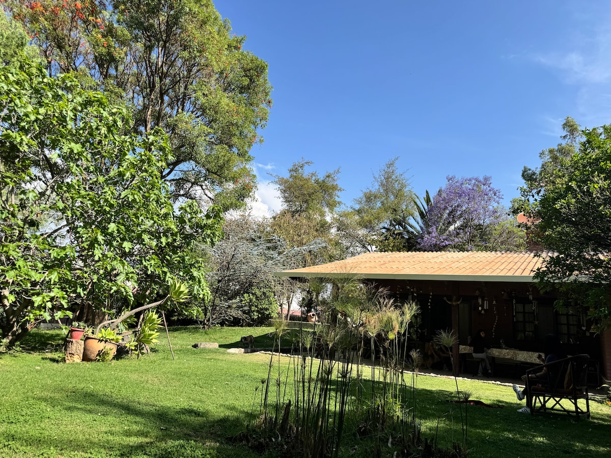 A lush green garden is surrounded by various trees and flowering plants. The wooden structure of the house is visible, featuring a sloped roof. An inviting outdoor area is furnished with natural decor elements, reflecting a serene environment that enhances the rustic charm of the retreat.