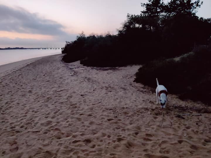 Apartamento A Pie De Playa. - El Rompido