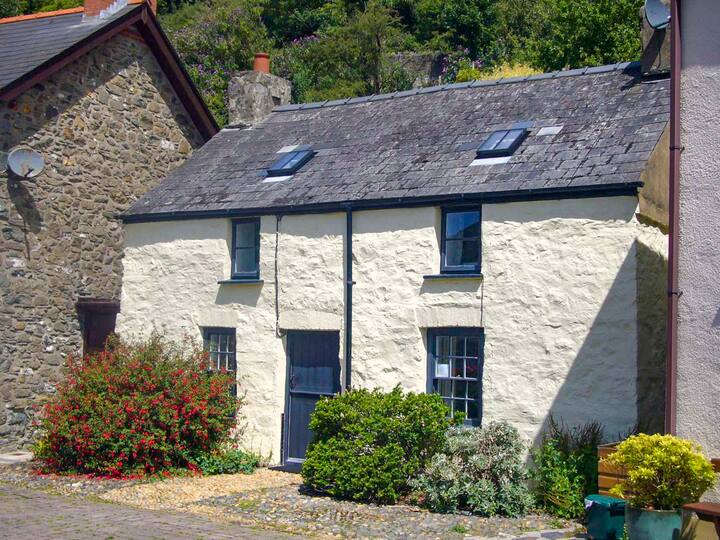 The Bears Cave - Fishguard